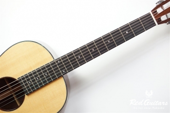 Model-00 Indian Rosewood